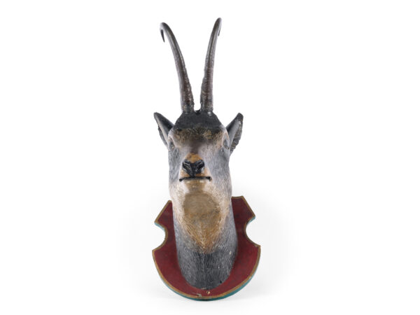Jagdtrophäe Gamskopf