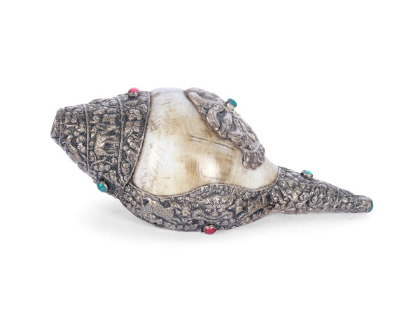 Shanka conch shell