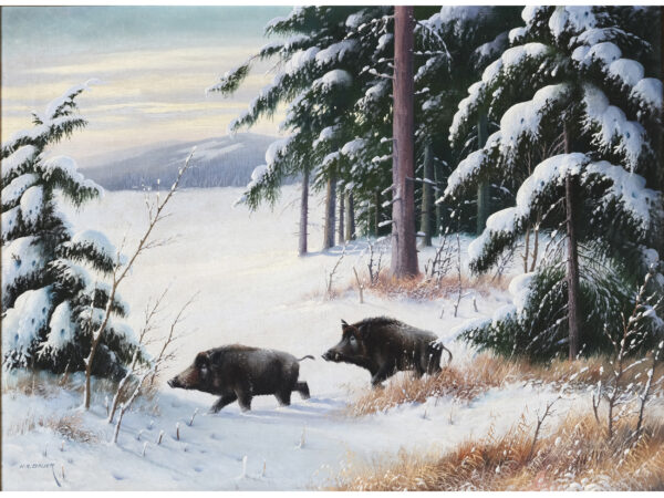 Wildschweine im Winter