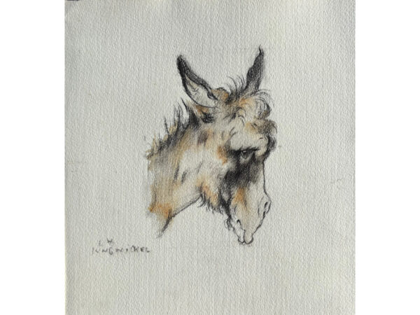 Ludwig Heinrich Jungnickel