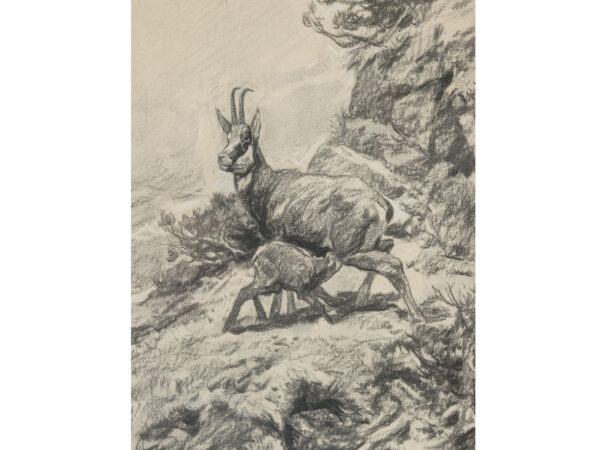 Franz Xaver von Pausinger