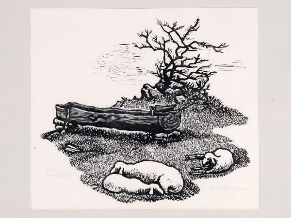 Franz Traunfellner *