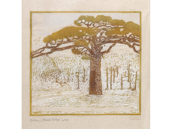 Broncia Koller-Pinell