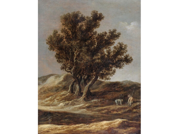Jan van Goyen